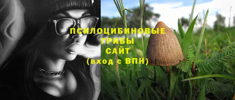 наркотики  Сорочинск  Галлюциногенные грибы MAGIC MUSHROOMS 